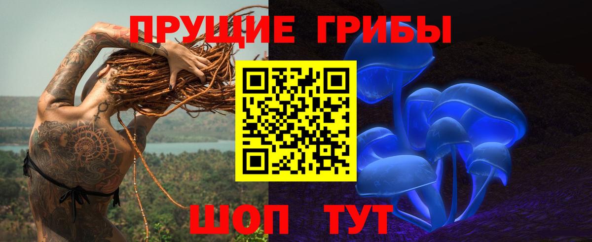 Псилоцибиновые грибы Psilocybe  Галлюциногенные грибы MAGIC MUSHROOMS  Вход с VPN  наркотики  Магадан 
